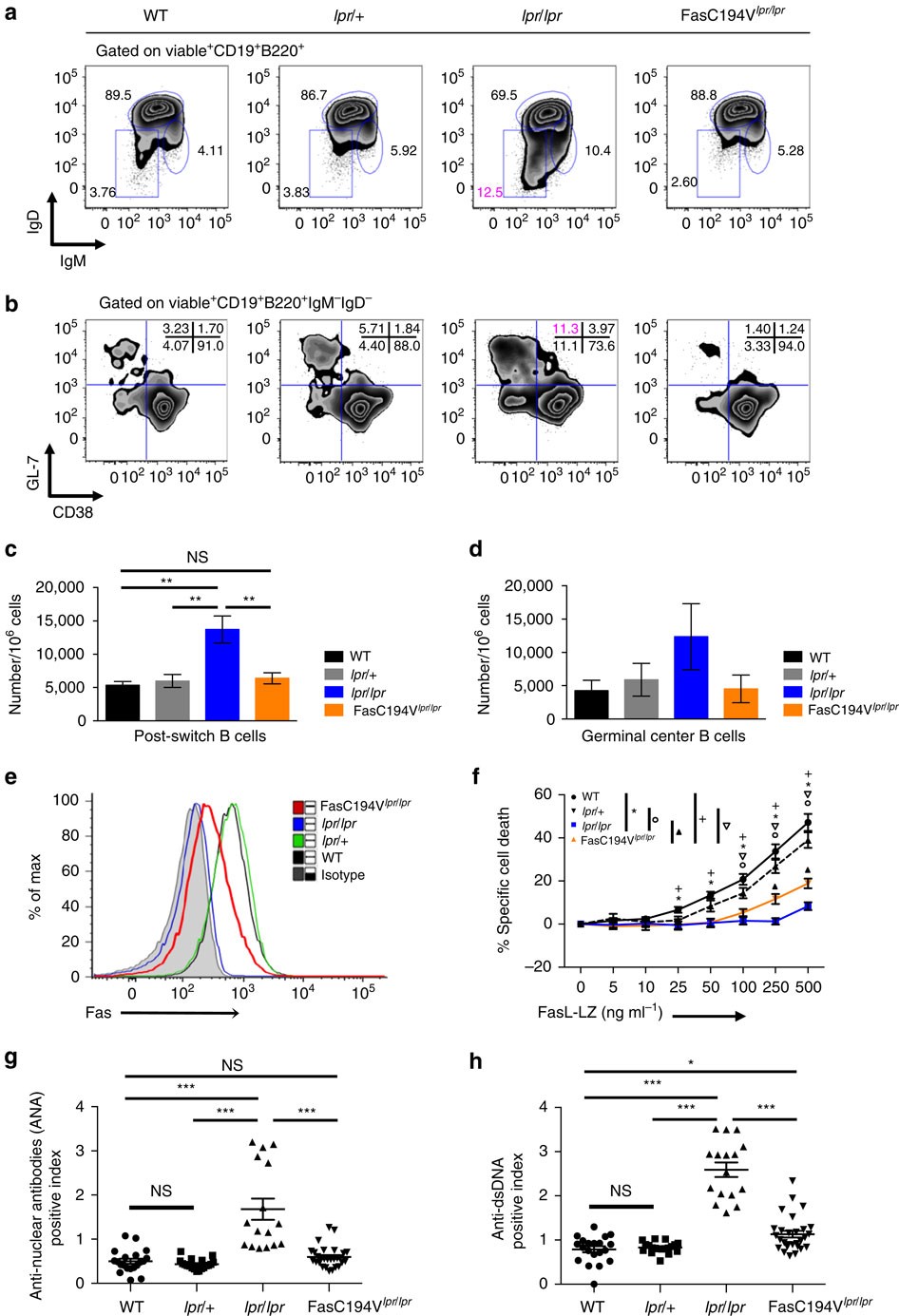 Figure 5: Palmitoylation-deficient Fas prevents autoantibody production.