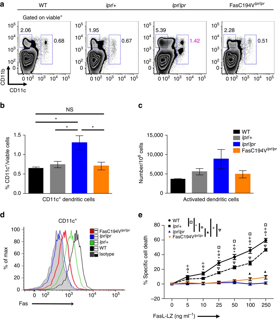 Figure 7: DC apoptosis requires palmitoylation of Fas.