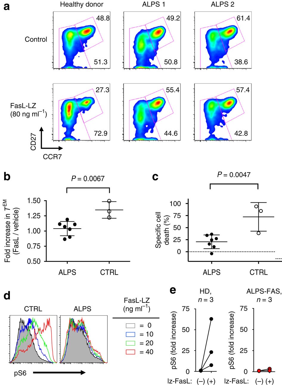 Figure 8: ALPS patient T cells are defective in Fas-induced differentiation and apoptosis.