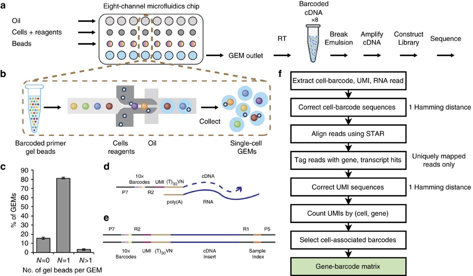Massively parallel digital transcriptional profiling of single cells |  Nature Communications