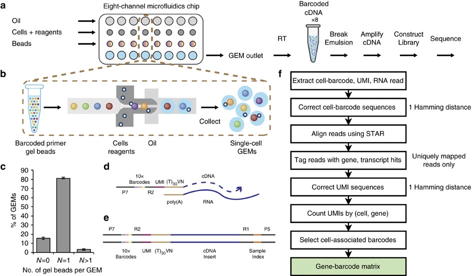 Single Cell RNA-Seq Notes