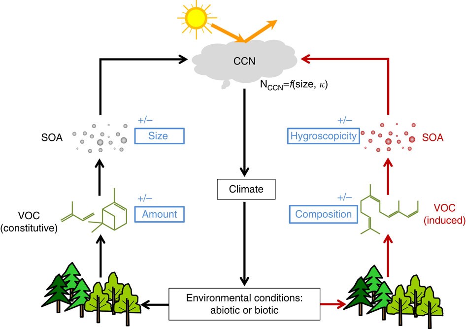 Environmental conditions regulate the impact of plants on cloud formation |  Nature Communications