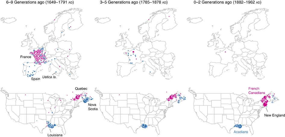 Genealogical data traces origins of Cajuns/Acadians in Atlantic Canada (blue) and migration of French Canadians (magenta) to the US.