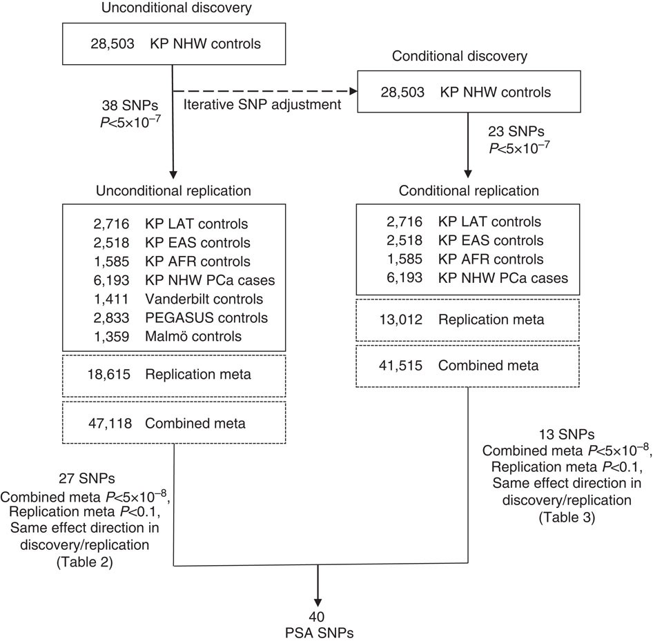 Psa Test Levels Chart Uk