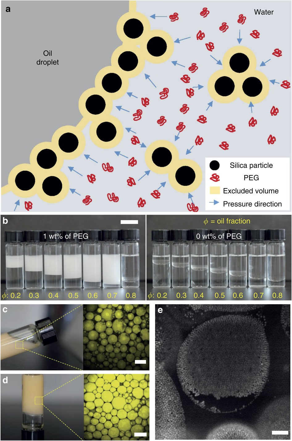 Processable high internal phase Pickering emulsions using depletion  attraction | Nature Communications
