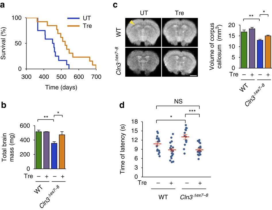 Mtorc1 Independent Tfeb Activation Via Akt Inhibition
