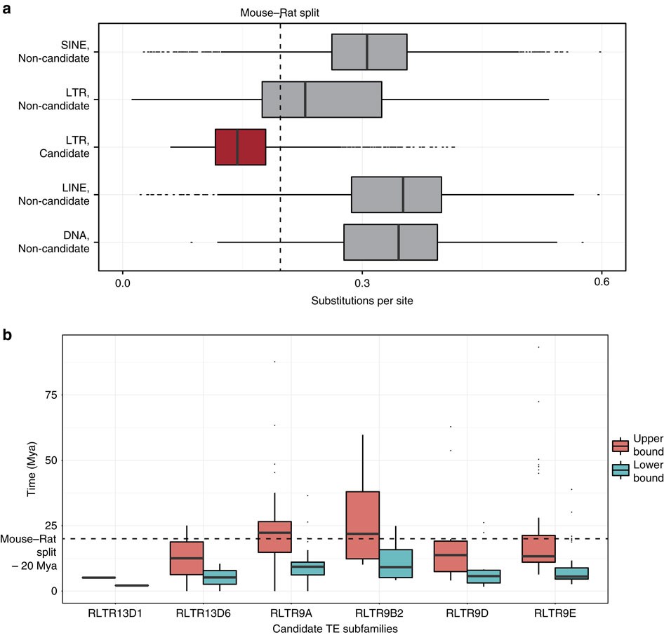 Figure 2: Evolutionary age estimates of TE subfamilies enriched for multiple TF-binding sites.