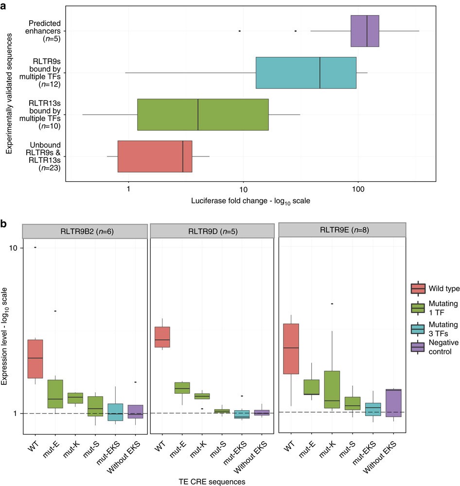 Figure 4: Regulatory potential of TEs bound by multiple TFs in mouse ESCs.