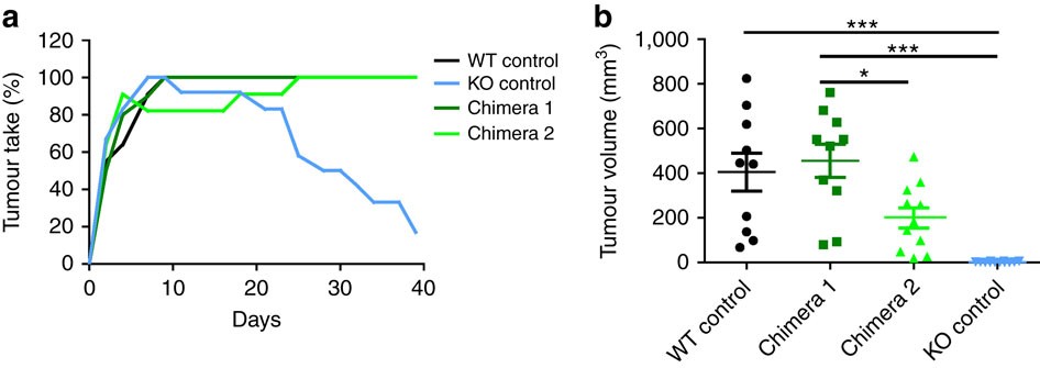 Figure 2: Haematopoietic and non-haematopoietic stromal components are required for tumour rejection.