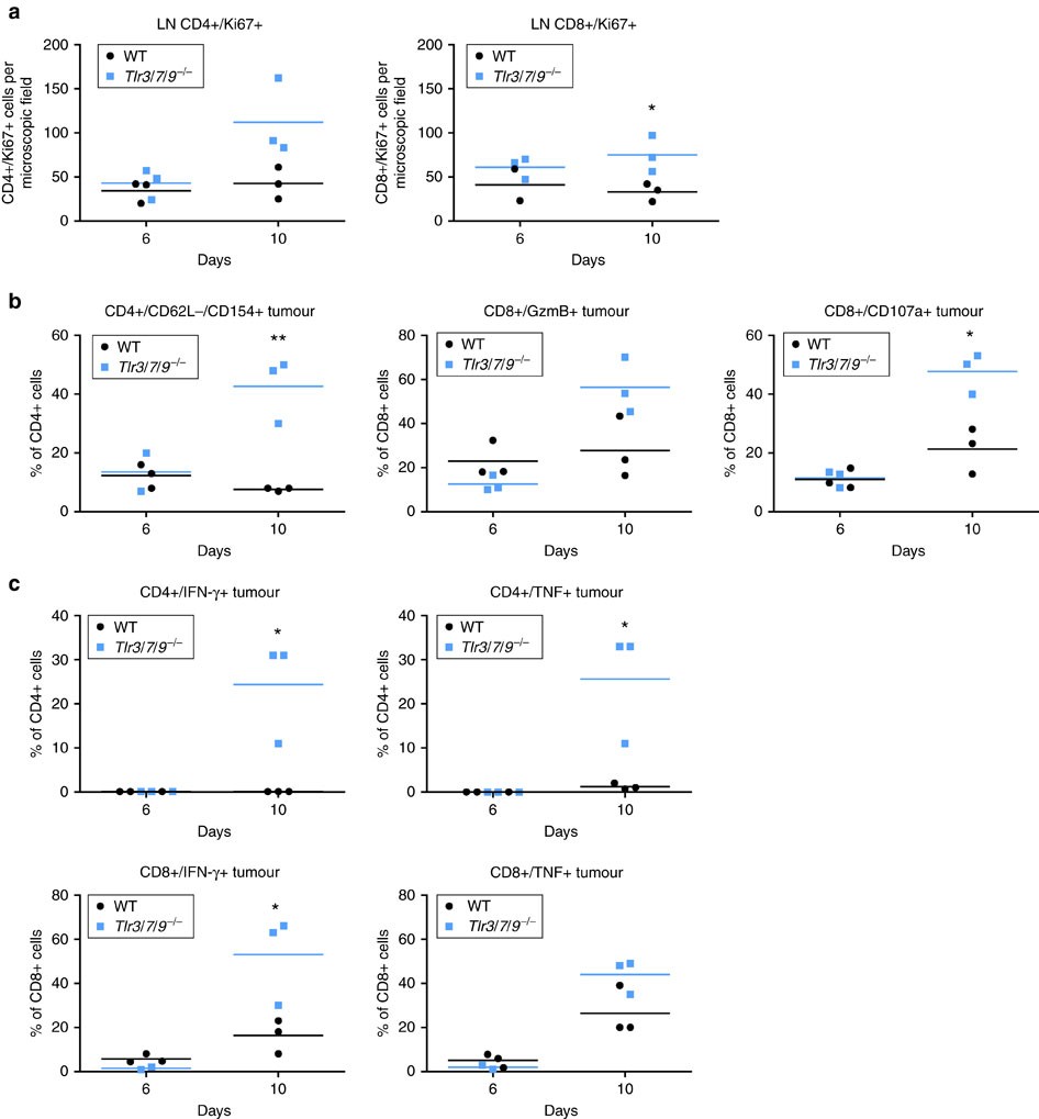 Figure 5: T-cell activation in lymph nodes and tumour.