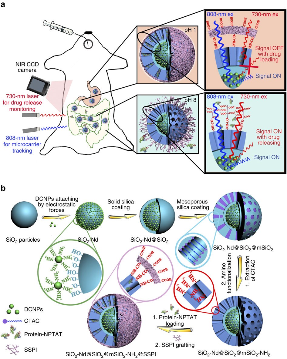 In vivo fan tests: 14 models in system positions 