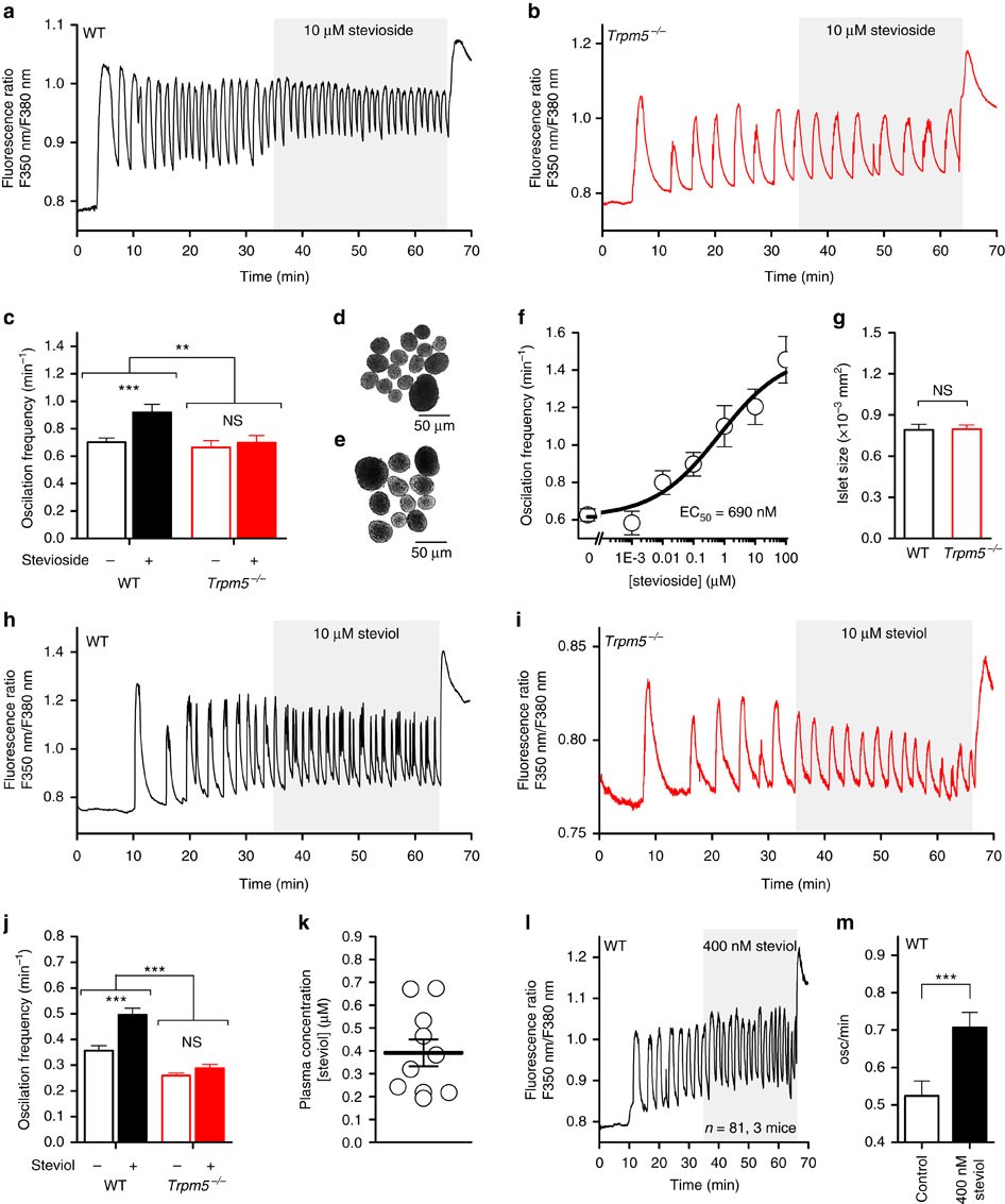Figure 3: Stevioside and steviol potentiate calcium oscillations in pancreatic islets.