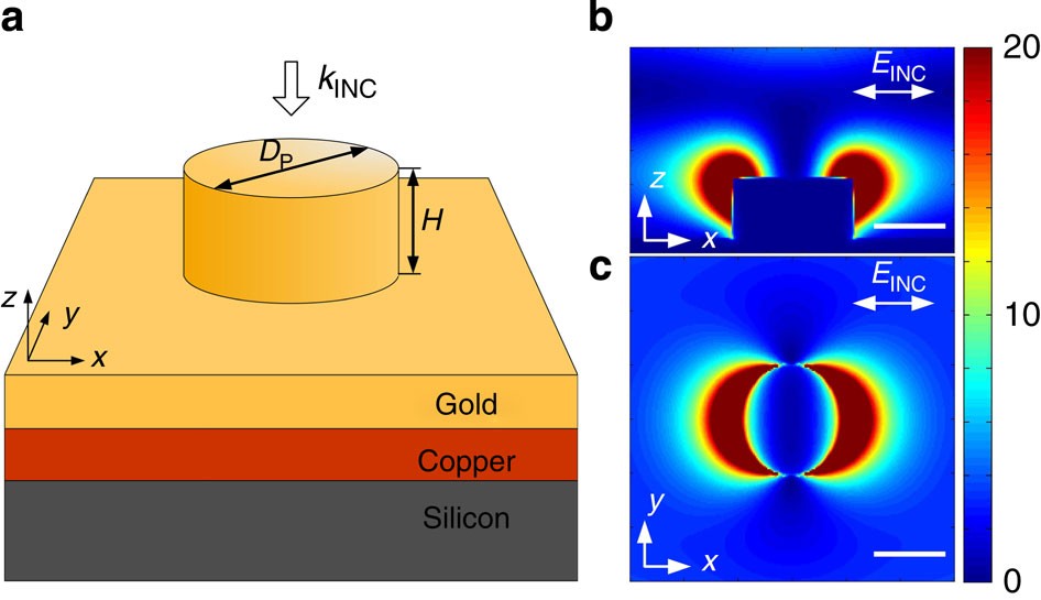 Clogging of soft particles in 2D hoppers – arXiv Vanity