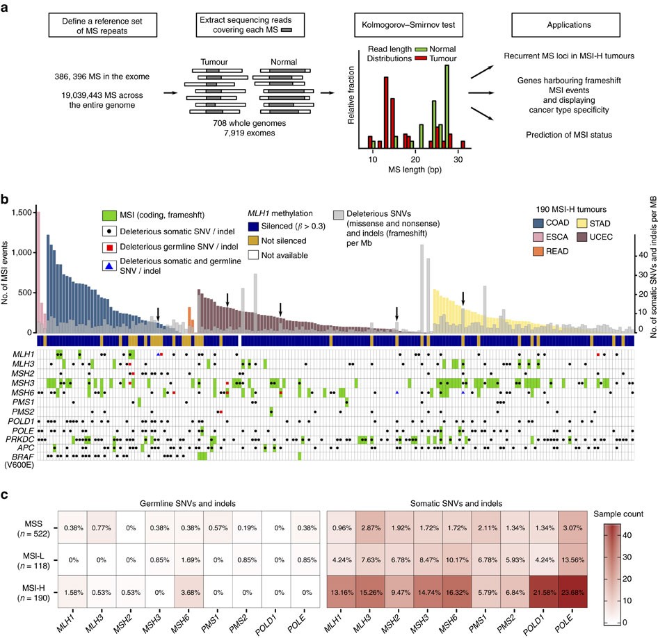A Molecular Portrait Of Microsatellite Instability Across Multiple