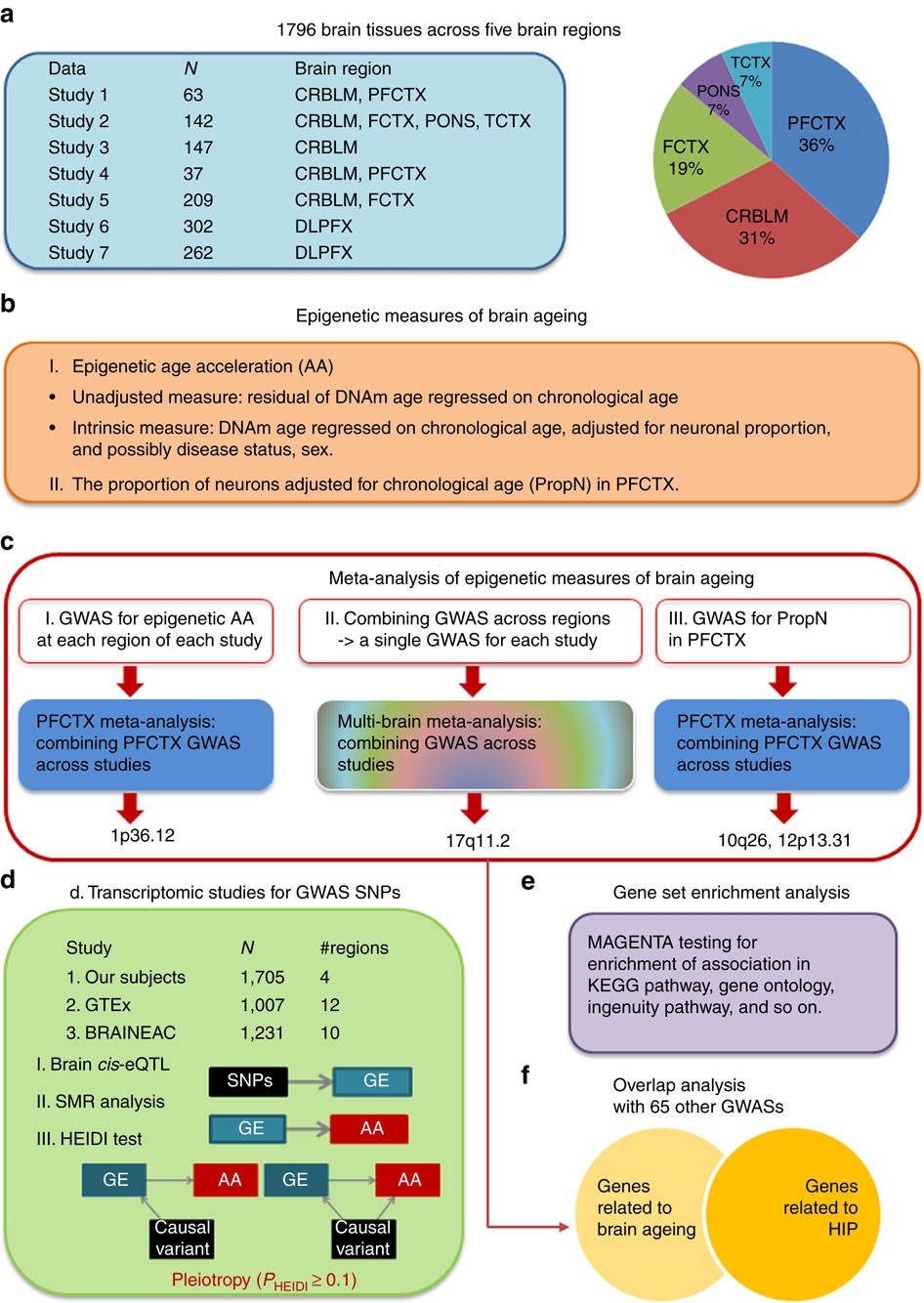 Frontiers  Epigenetics in Alzheimer's Disease