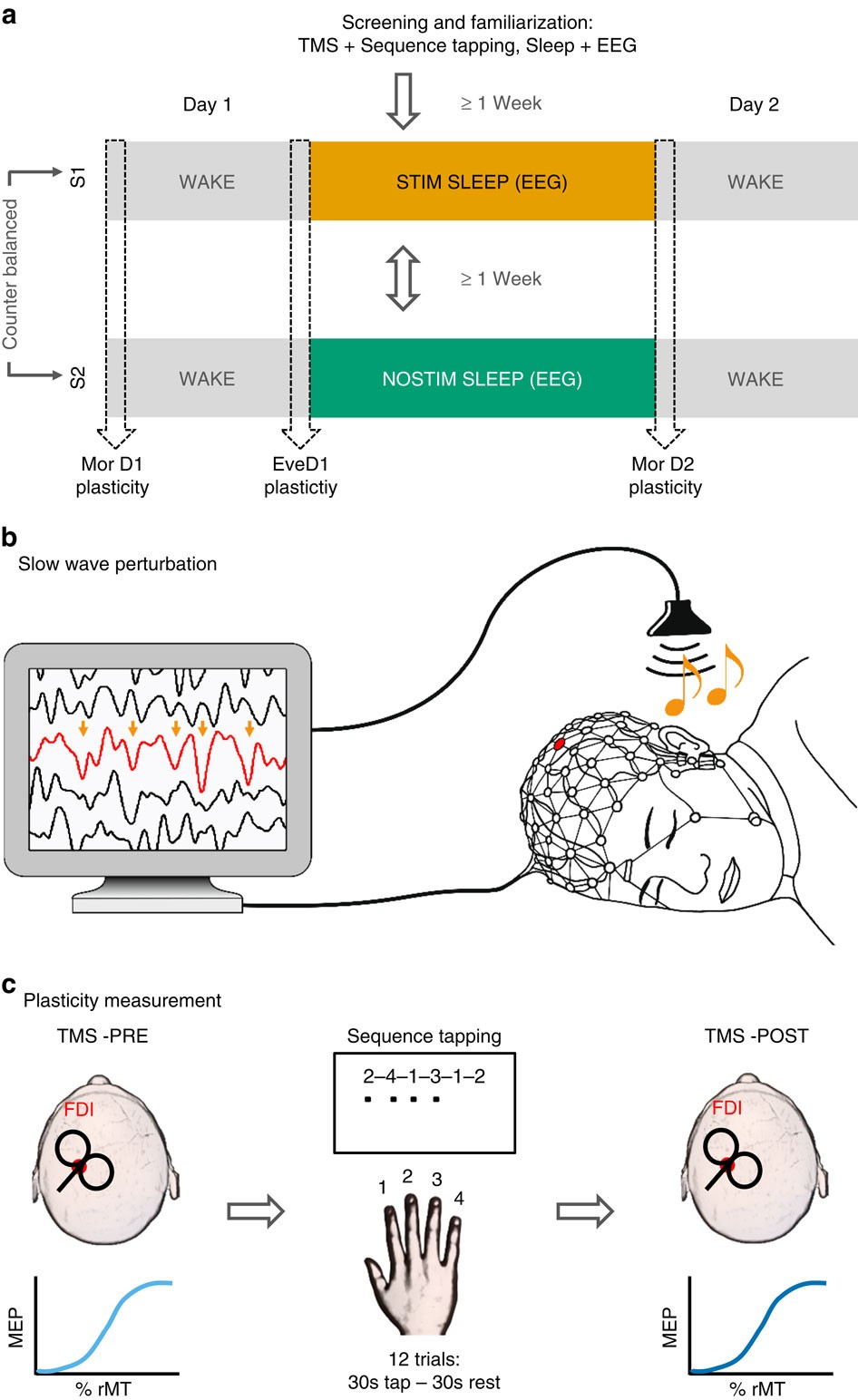 https://media.springernature.com/full/springer-static/image/art%3A10.1038%2Fncomms15405/MediaObjects/41467_2017_Article_BFncomms15405_Fig1_HTML.jpg?utm_source=chatgpt.com