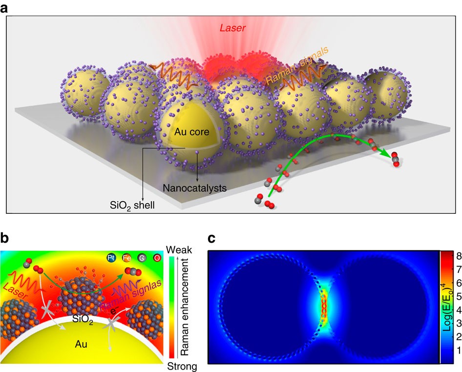 In situ dynamic tracking of heterogeneous nanocatalytic processes by  shell-isolated nanoparticle-enhanced Raman spectroscopy | Nature  Communications