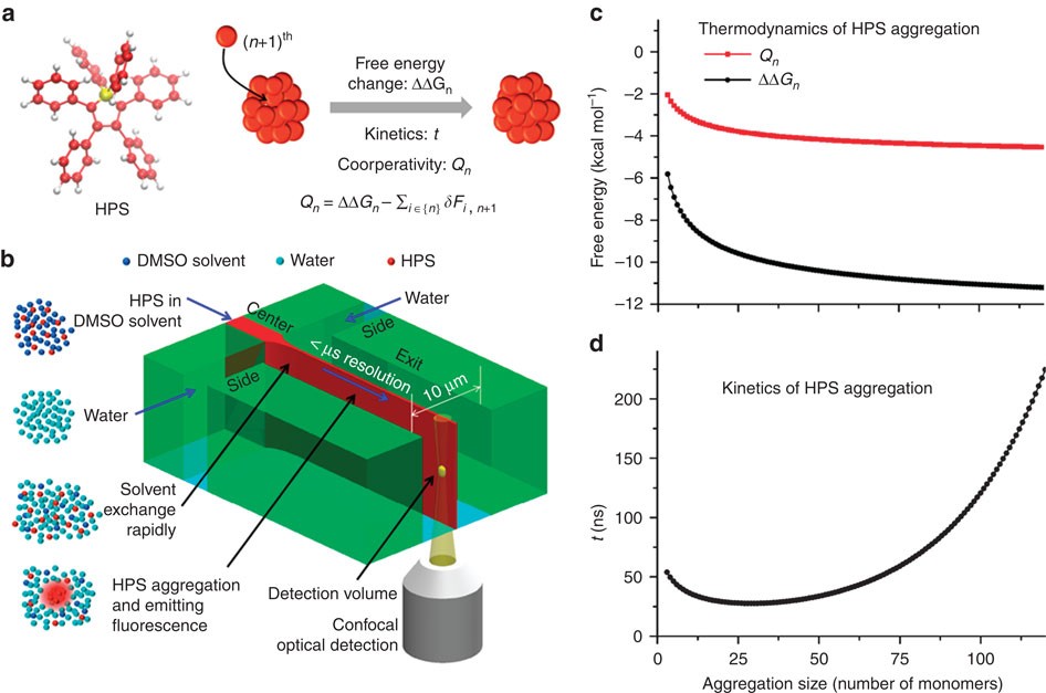 Real-time monitoring of hydrophobic aggregation reveals a critical role of  cooperativity in hydrophobic effect | Nature Communications