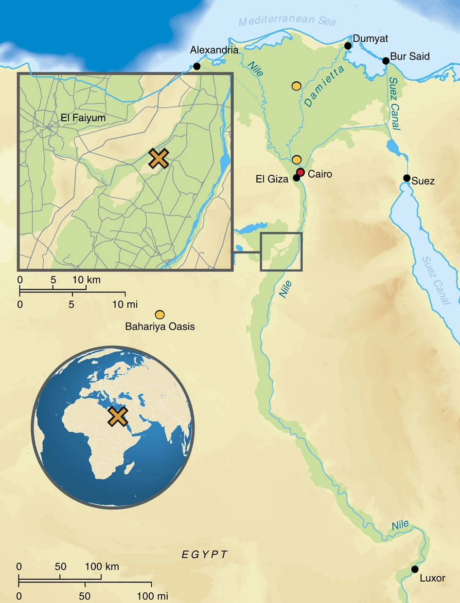 Ancient Egyptian mummy genomes suggest an increase of Sub-Saharan African ancestry in post-Roman periods | Verena J. Schuenemann, Alexander Peltzer, Beatrix Welte, W. Paul van Pelt, Martyna Molak, Chuan-Chao Wang, Anja Furtwängler, Christian Urban, Ella Reiter, Kay Nieselt, Barbara Teßmann, Michael Francken, Katerina Harvati, Wolfgang Haak, Stephan Schiffels & Johannes Krause | Nature Communications volume 8, Article number: 15694 (2017)