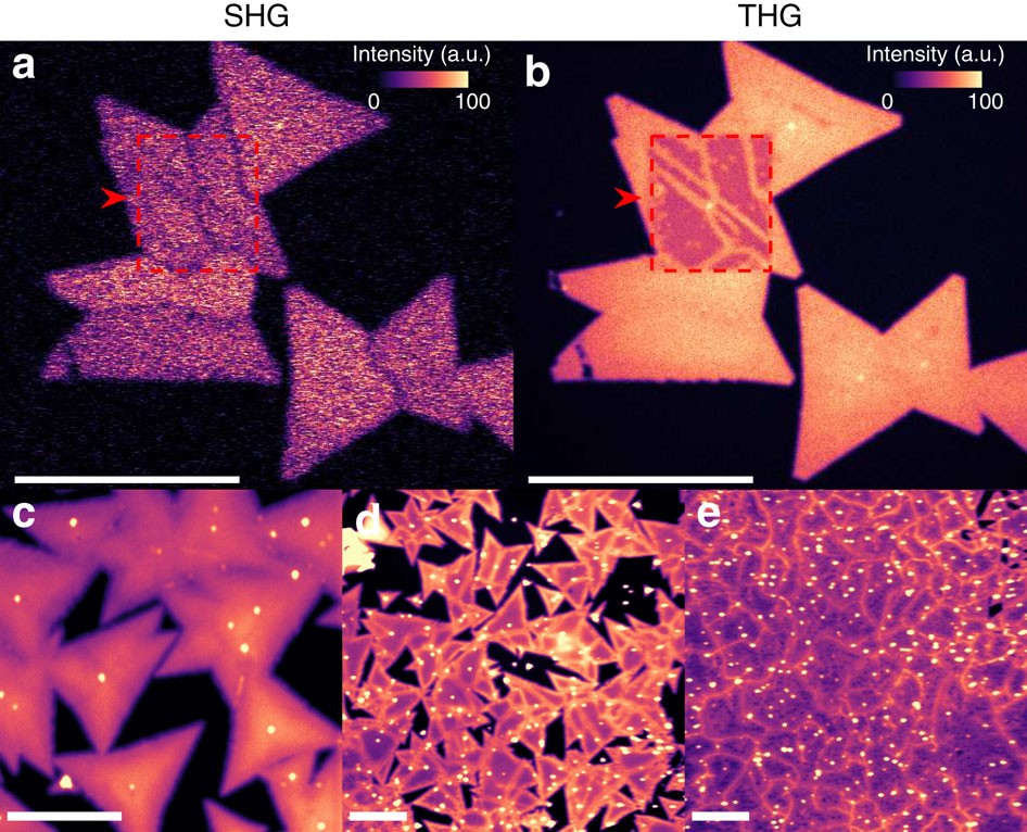 Rapid Visualization Of Grain Boundaries In Monolayer Mos2 By Multiphoton Microscopy Nature Communications