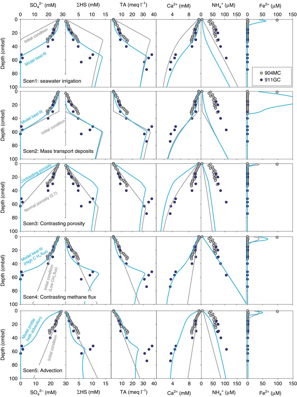 Figure 4: Simulation results from five scenarios that may explain the non-steady-state profiles.