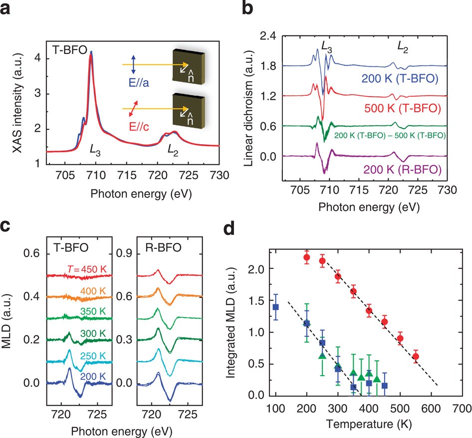 Concurrent Transition Of Ferroelectric And Magnetic Ordering