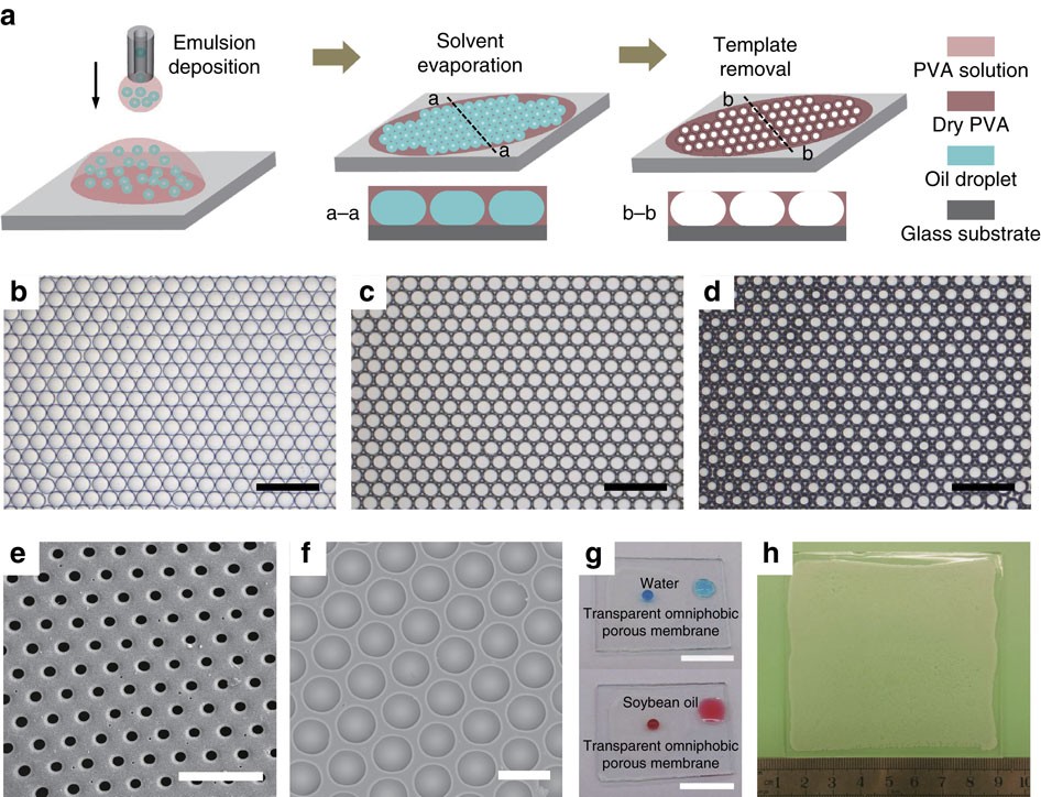 Well Defined Porous Membranes For Robust Omniphobic Surfaces - 