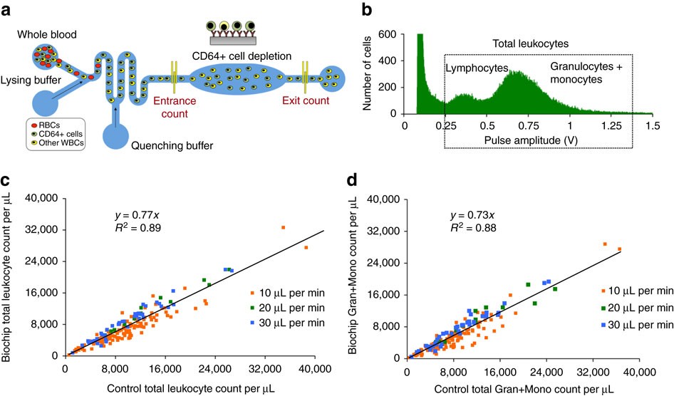 Pushing the limits by 'equal opportunity' design - CytoBuoy flow cytometry  solutions