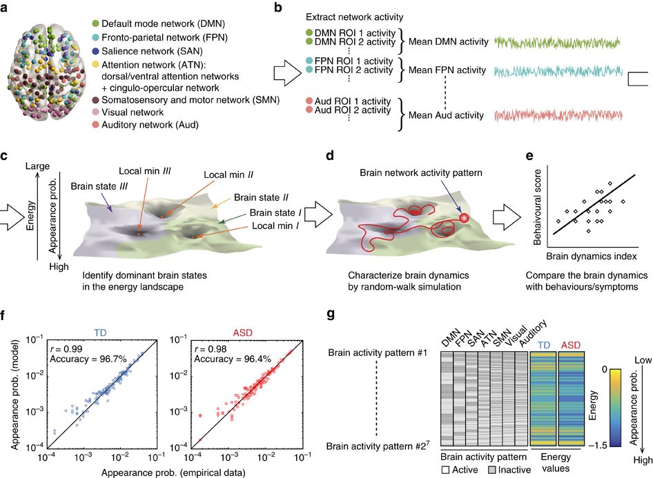 Excess Brain Fluid May Forecast Autism >> Brain Network Dynamics In High Functioning Individuals With Excess Brain Fluid May Forecast Autism >> Brain Network Dynamics In High Functioning Individuals With