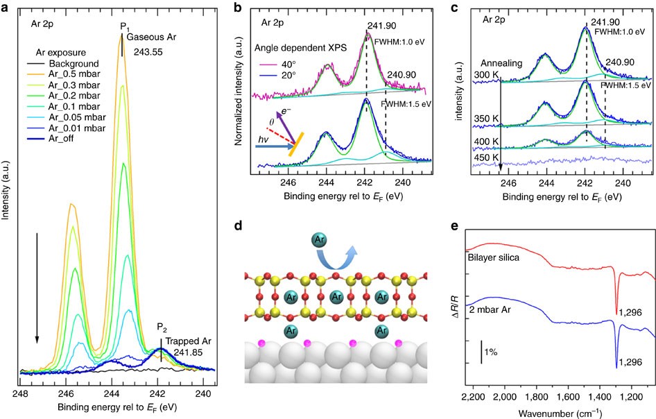 Immobilization Of Single Argon Atoms In Nano Cages Of Two