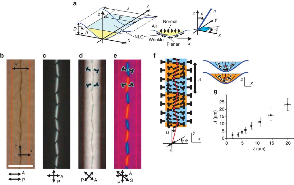 Zigzag Line Defects And Manipulation Of Colloids In A Nematic