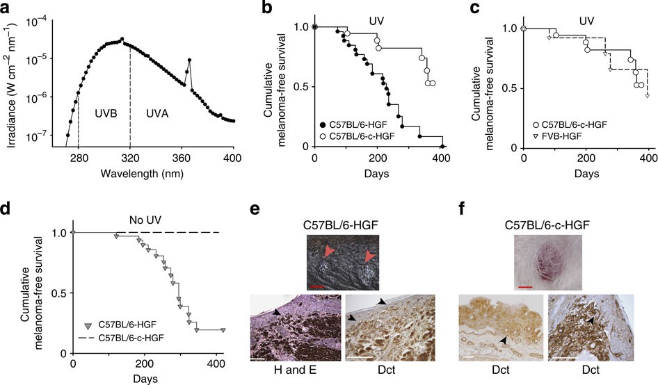 melanotan ii reduces sunburn risk Insights into Tanning Biology and Tanning Products | JCAD main image 0