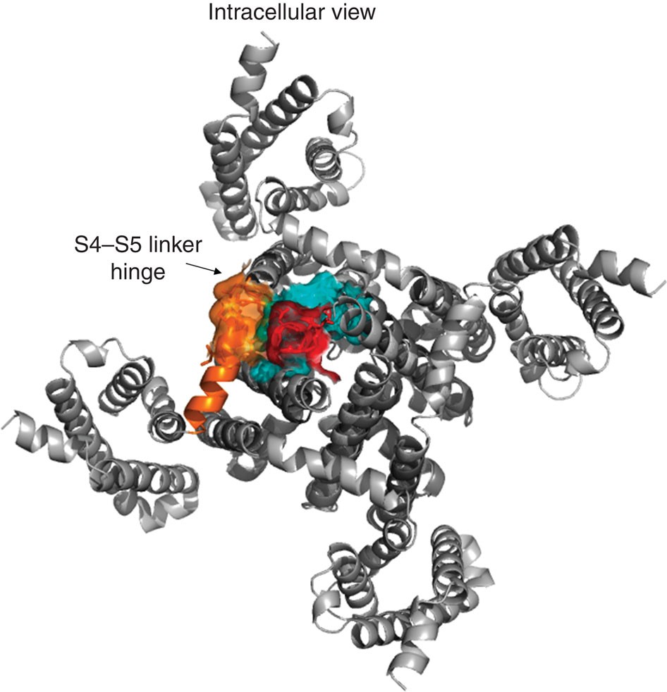 Figure 4