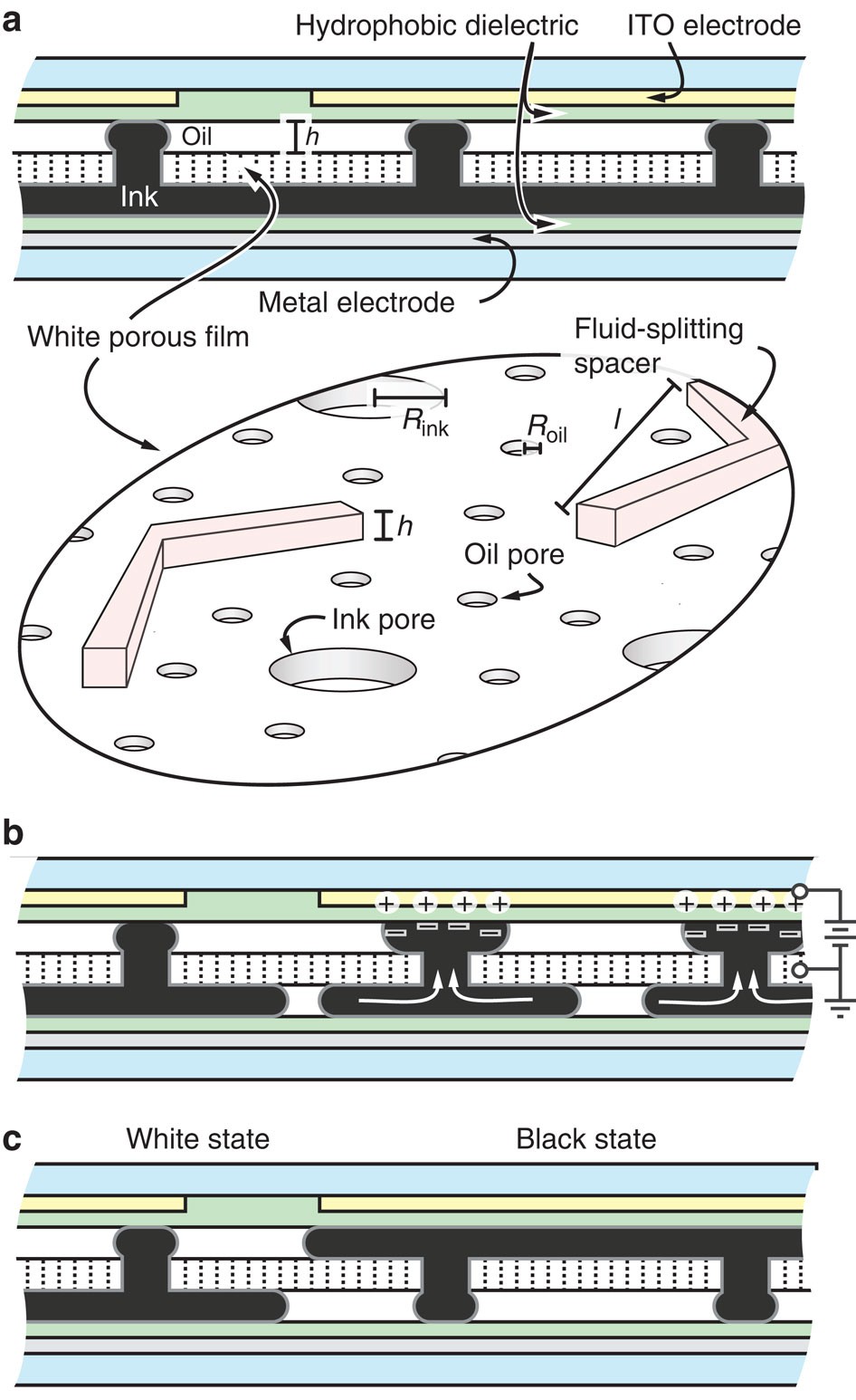 hybrid e ink lcd display quotation