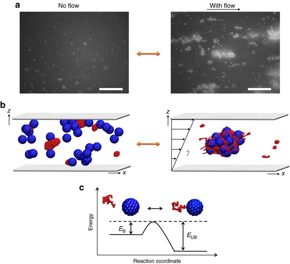 Scientific Methods for the Study of Polymer Colloids and Their Applications