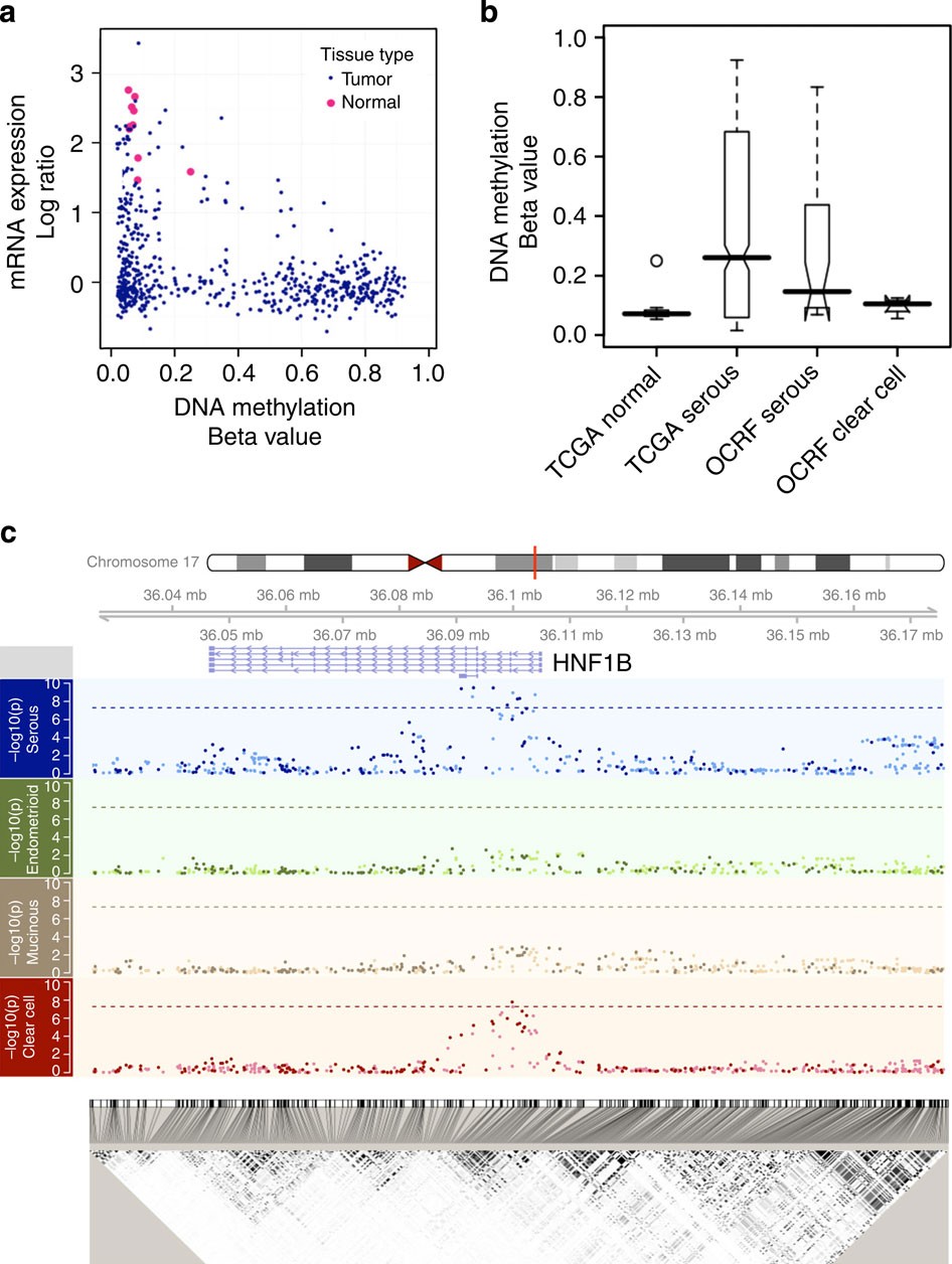 https://media.springernature.com/full/springer-static/image/art%3A10.1038%2Fncomms2629/MediaObjects/41467_2013_Article_BFncomms2629_Fig1_HTML.jpg