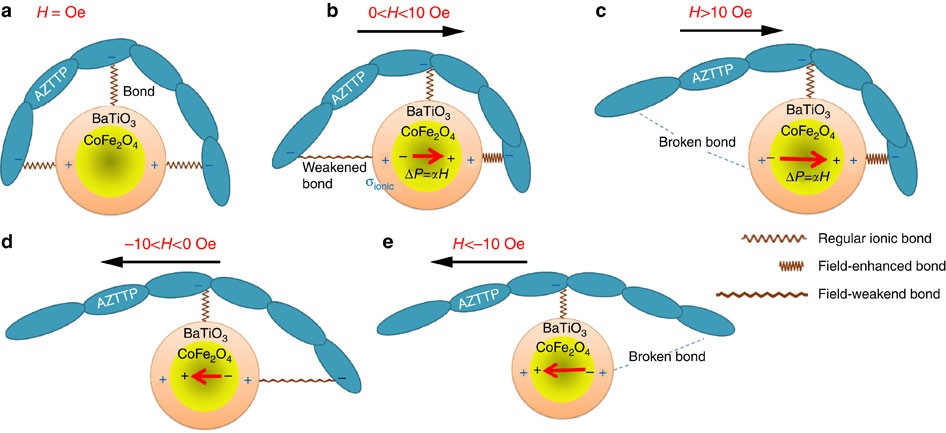 Externally Controlled On Demand Release Of Anti Hiv Drug Using Magneto Electric Nanoparticles As Carriers Nature Communications
