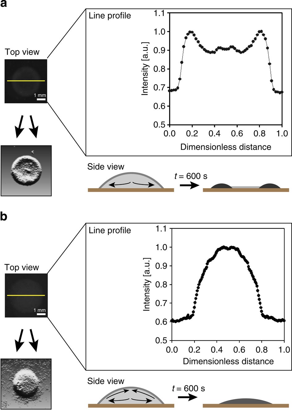 Controlling Coffee Ring Formation during Drying of Inkjet Printed 2D Inks