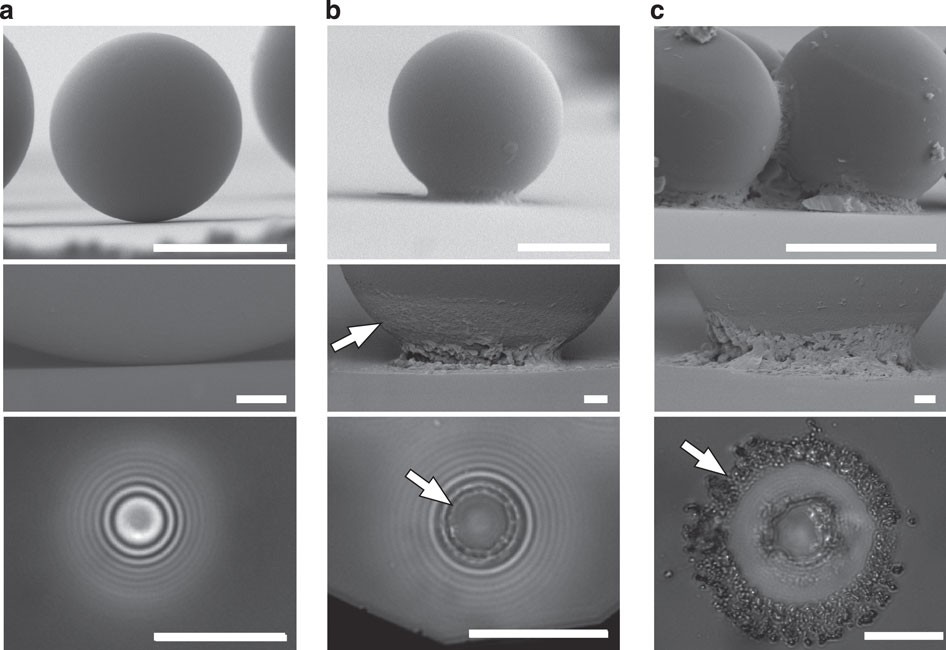 A nanometre-scale resolution interference-based probe of interfacial  phenomena between microscopic objects and surfaces