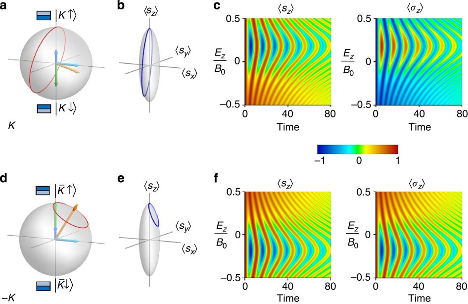Figure 2: Valley-dependent oscillations of spin and layer polarizations.