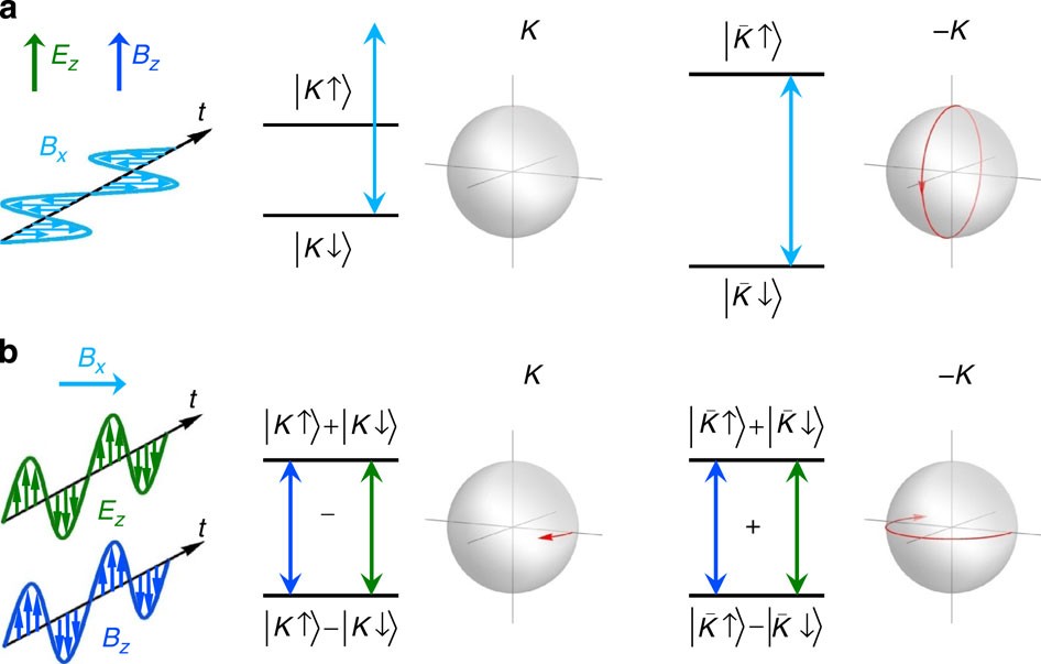 Figure 4: Valley-controlled quantum gates of a spin qubit.
