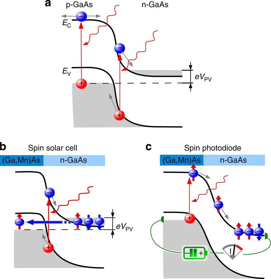 Demonstration of the spin solar cell and spin photodiode effect | Nature  Communications