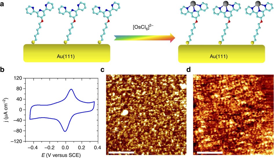 Direct Measurement And Modulation Of Single Molecule Coordinative Bonding Forces In A Transition Metal Complex Nature Communications