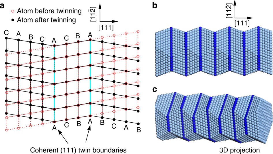 Twin Induced One Dimensional Homojunctions Yield High Quantum Efficiency For Solar Hydrogen Generation Nature Communications