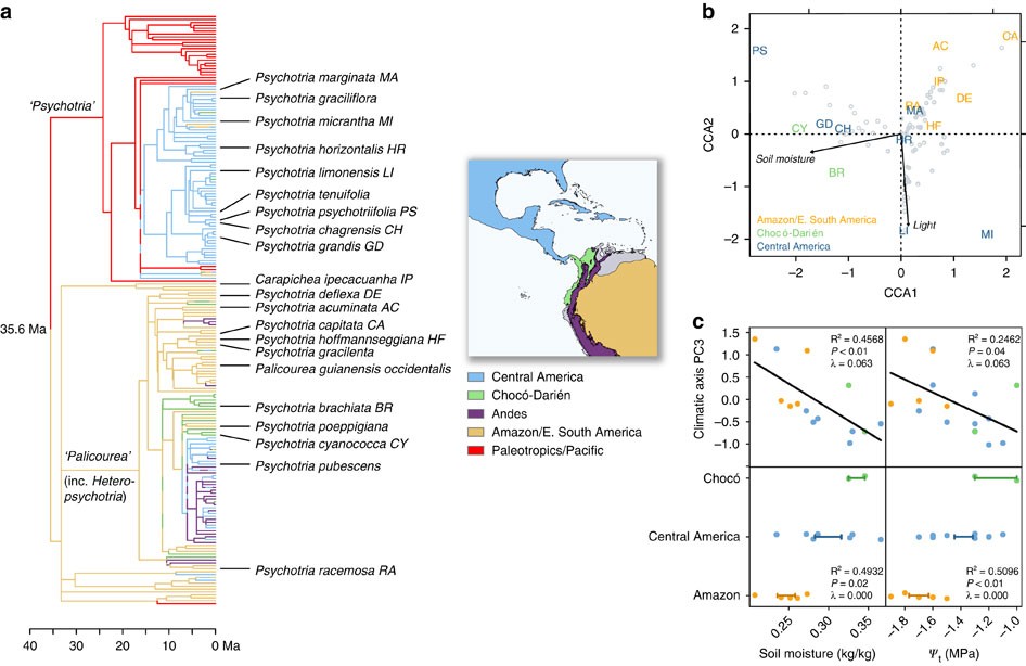 Fine-scale niche structure of Neotropical forests reflects a legacy of the  Great American Biotic Interchange | Nature Communications