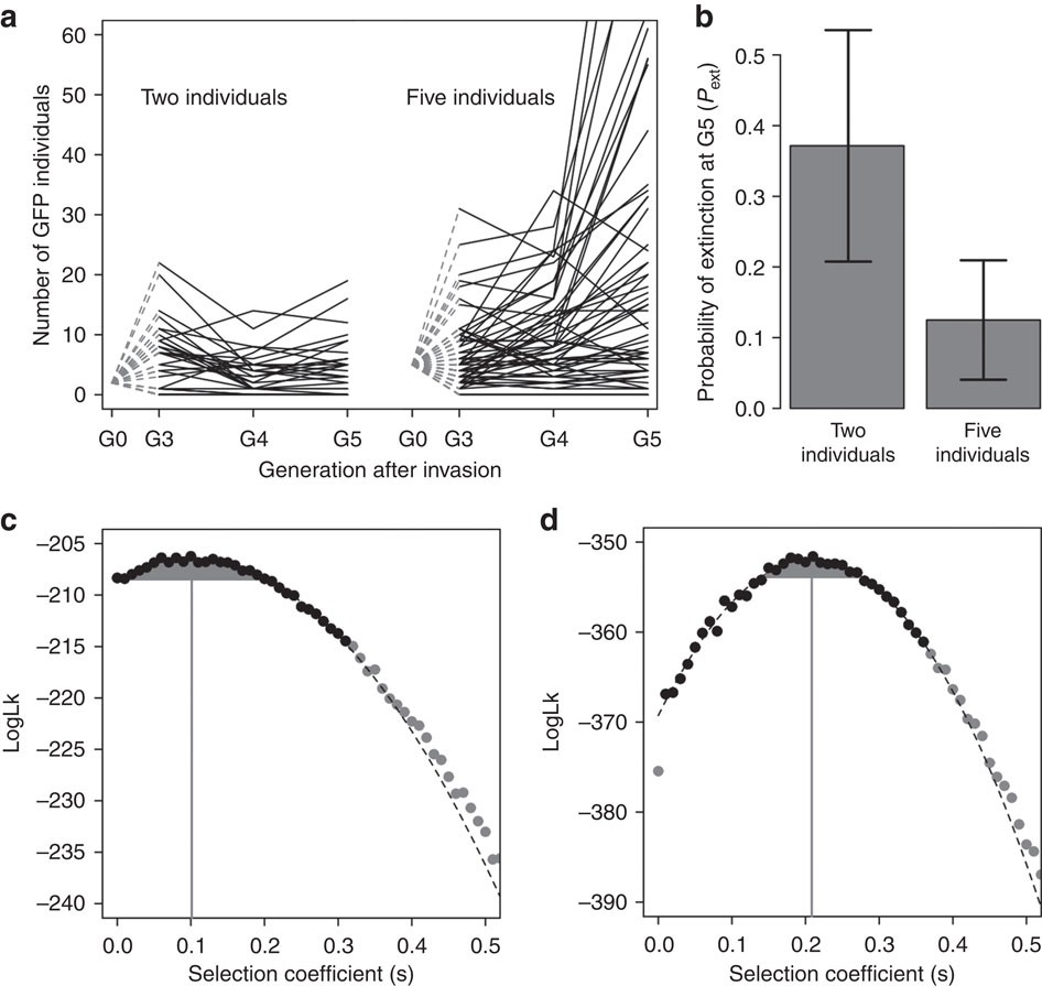 An Experimental Test On The Probability Of Extinction Of New - 