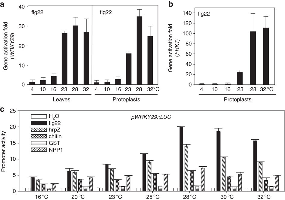Differential CaKAN3-CaHSF8 associations underlie distinct immune