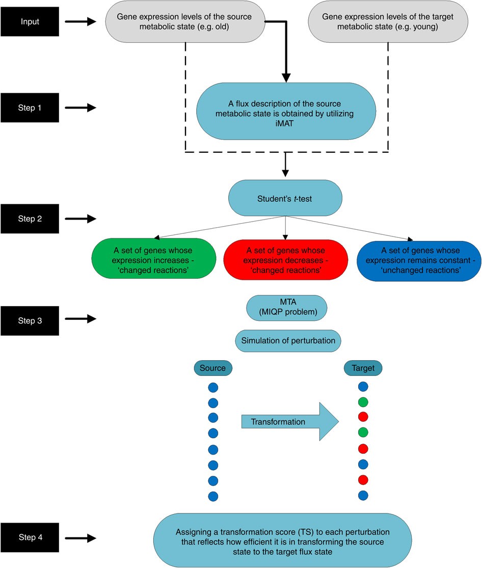 Model-based identification of drug targets that revert ...