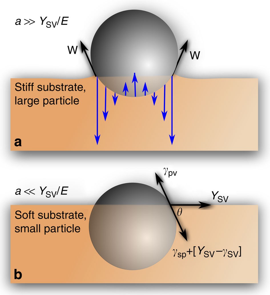 Figure 5: Hard and soft contacts.