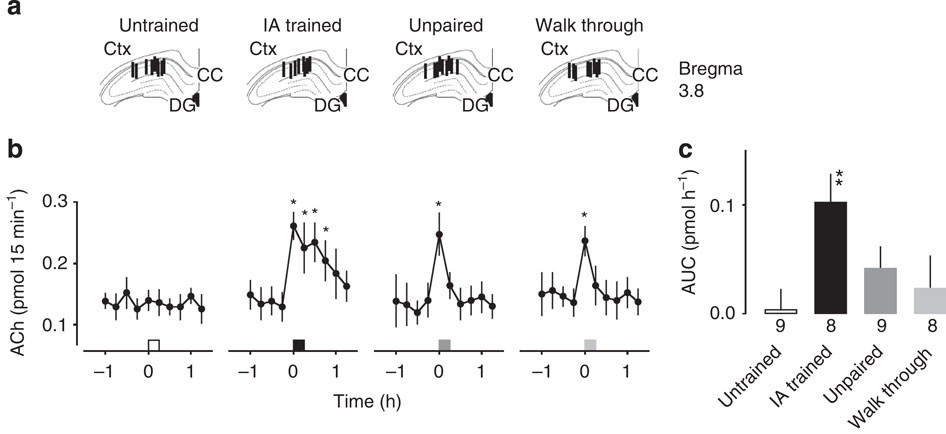 Figure 2: ACh levels in the rat hippocampal CA1 region under different learning conditions.